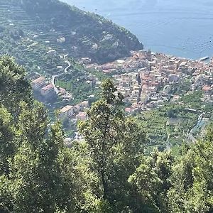 La Dacia Di Gina